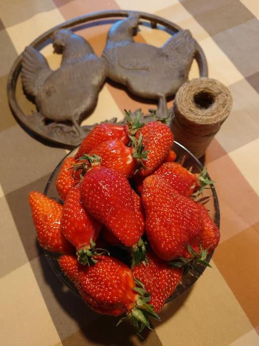 Entre Pierre Et Vigne - Charming Former Winery Farmhouse With Hot Tub & Swimming Pool Monestier  Extérieur photo